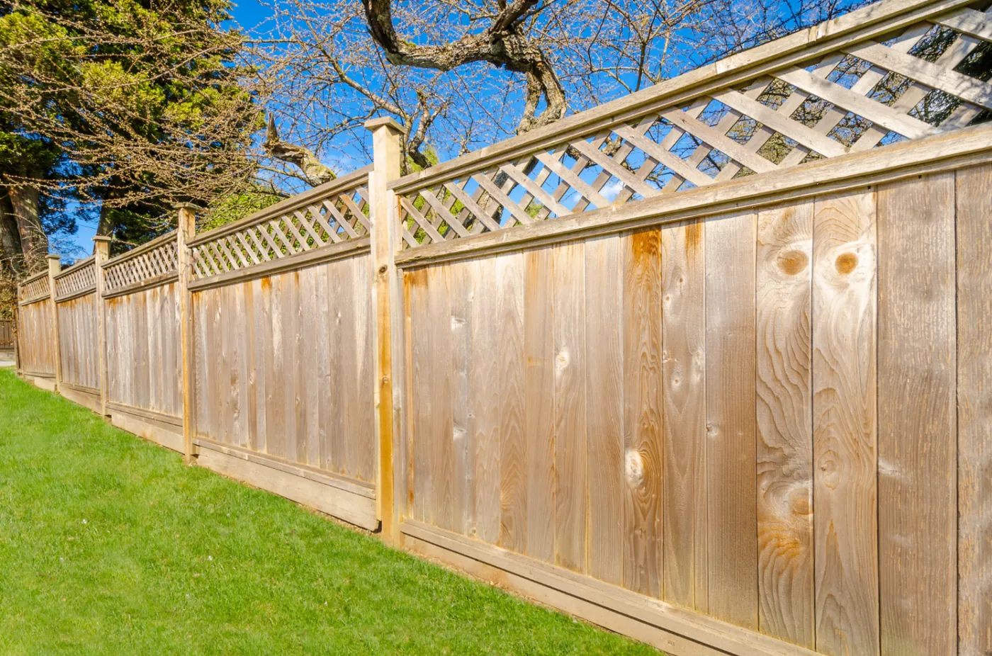 Timber fence panels with lattice trellis top